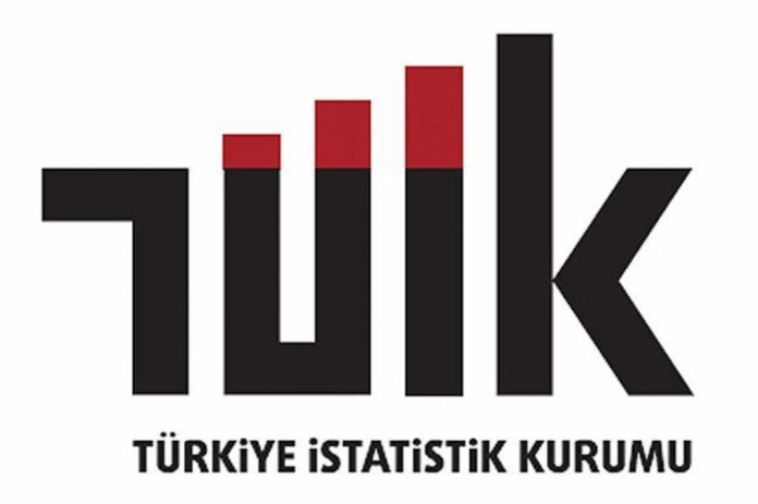 tuik-kati-yakit-istatistiklerini-acikladif1aa86a66df4467742db