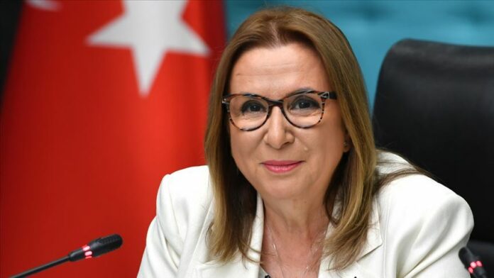Ruhsar Pekcan bakan
