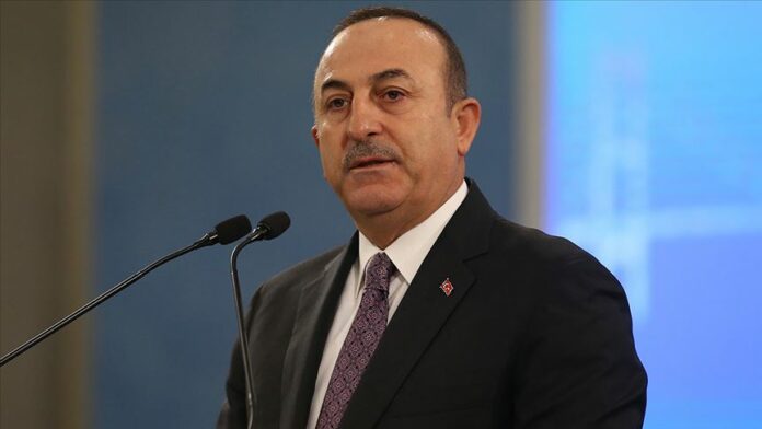Mevlüt Çavuşoğlu bakan