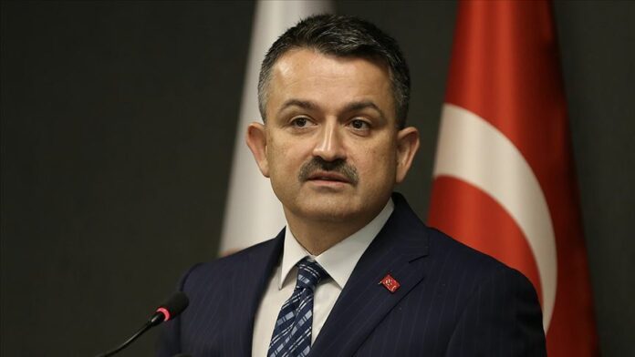Bekir Pakdemirli