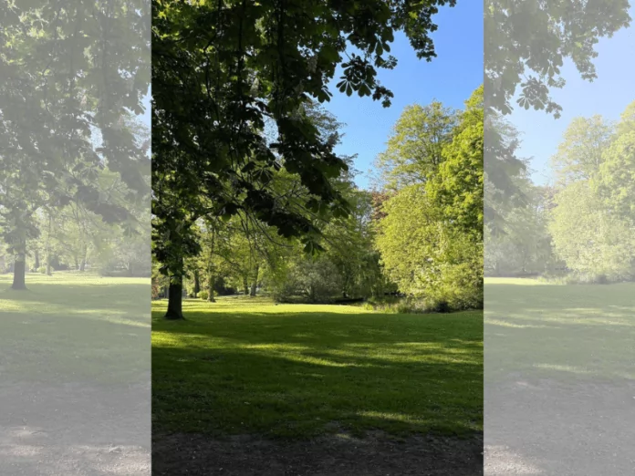 park